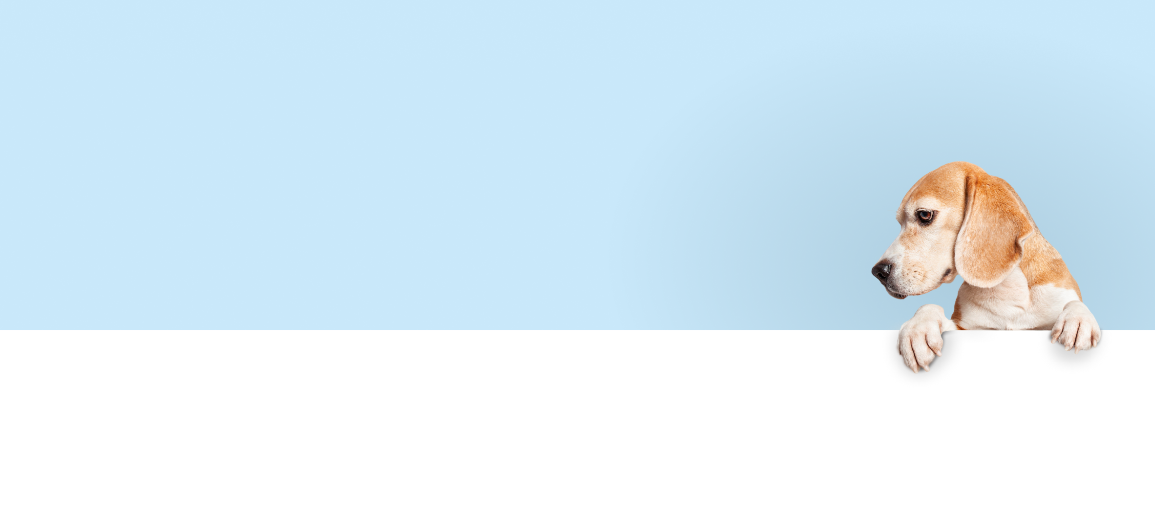 För hundar > Produkter