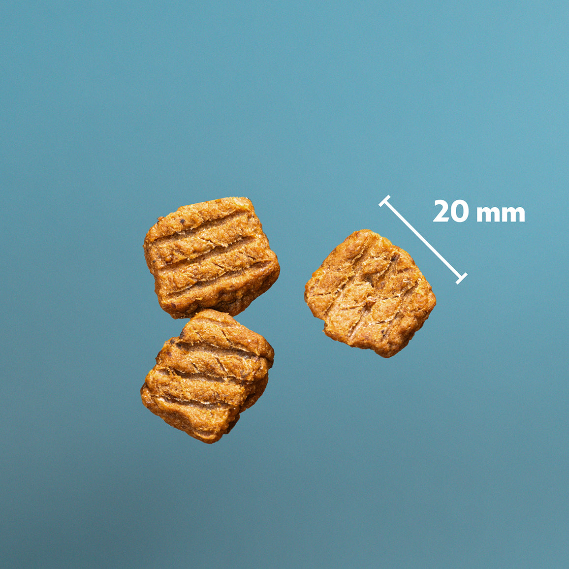 PD NT Bits Kalkon för Valpar & Träning 150g