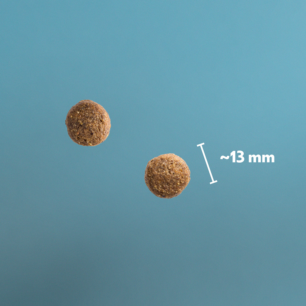 PD Adult Kyckling & Potatis 3kg