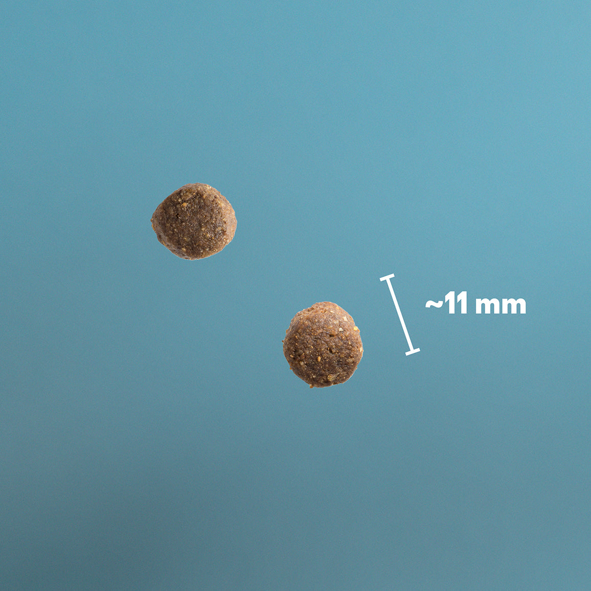 PD Adult Lamm & Potatis 3kg