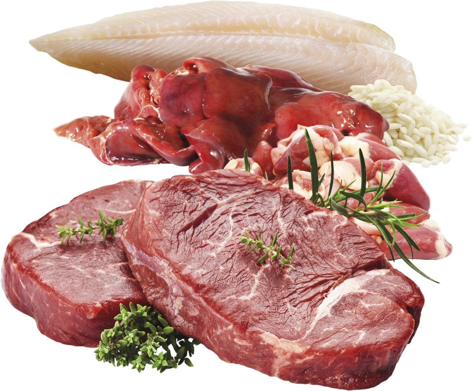 Brit Premium Korv Biff & Fisk Sport 800g