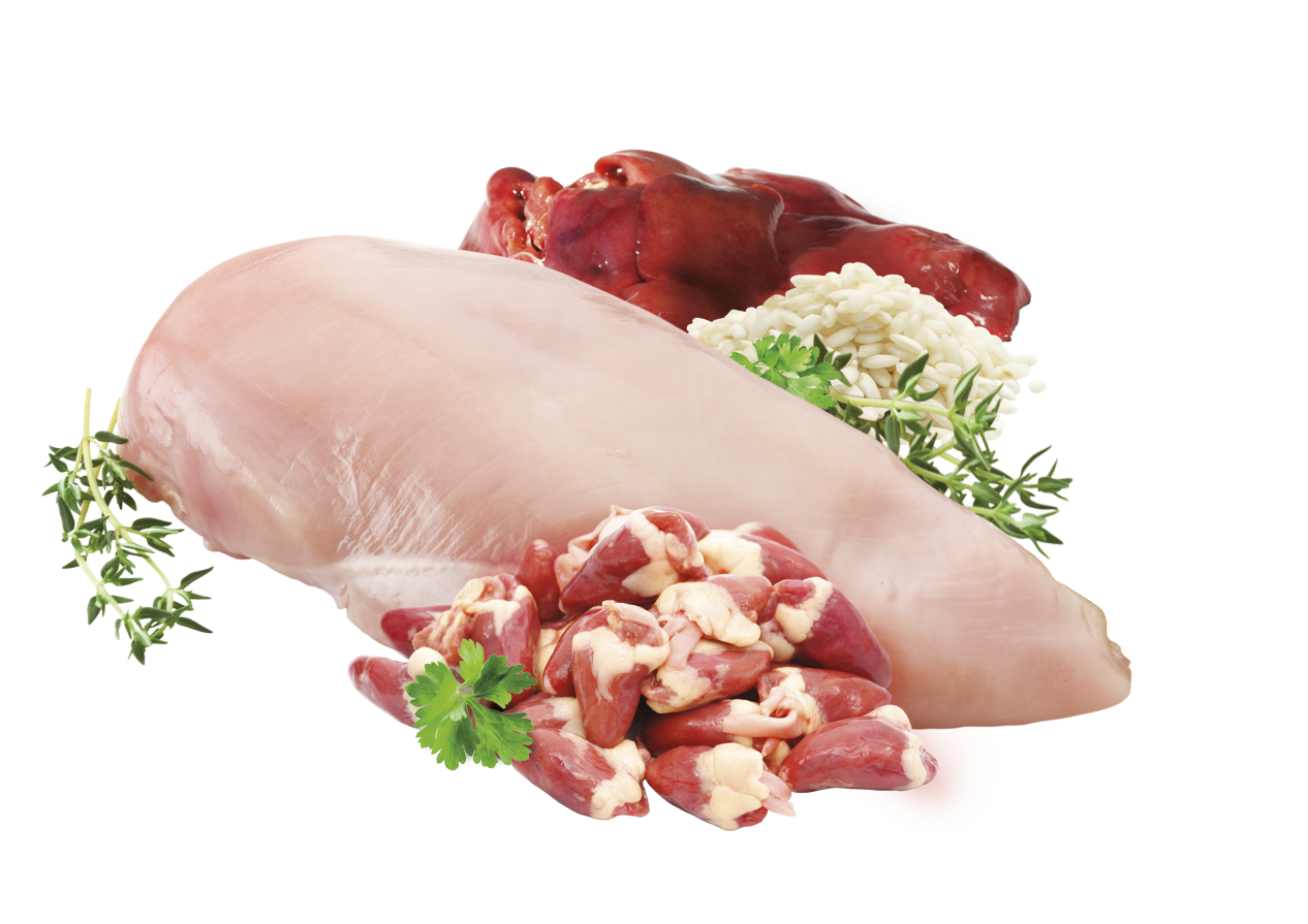 Brit Premium Korv Kyckling 800g