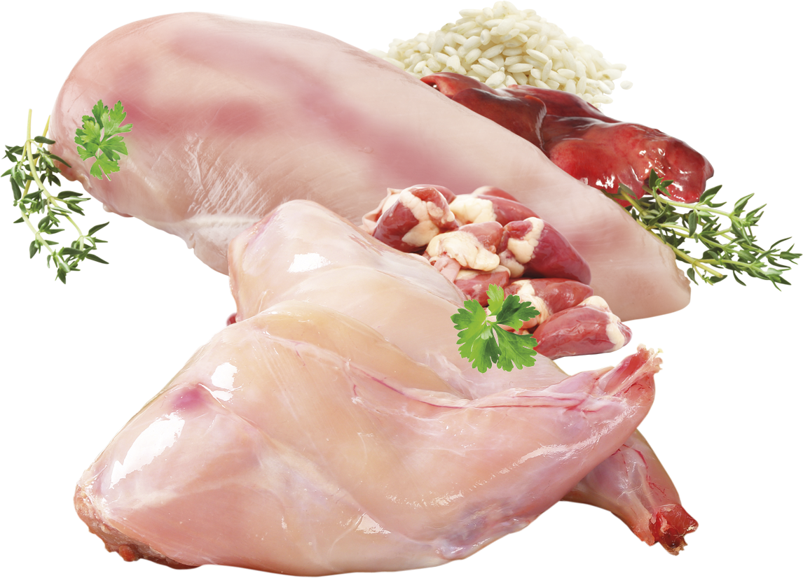 Brit Premium Korv Kyckling & Kanin 800g