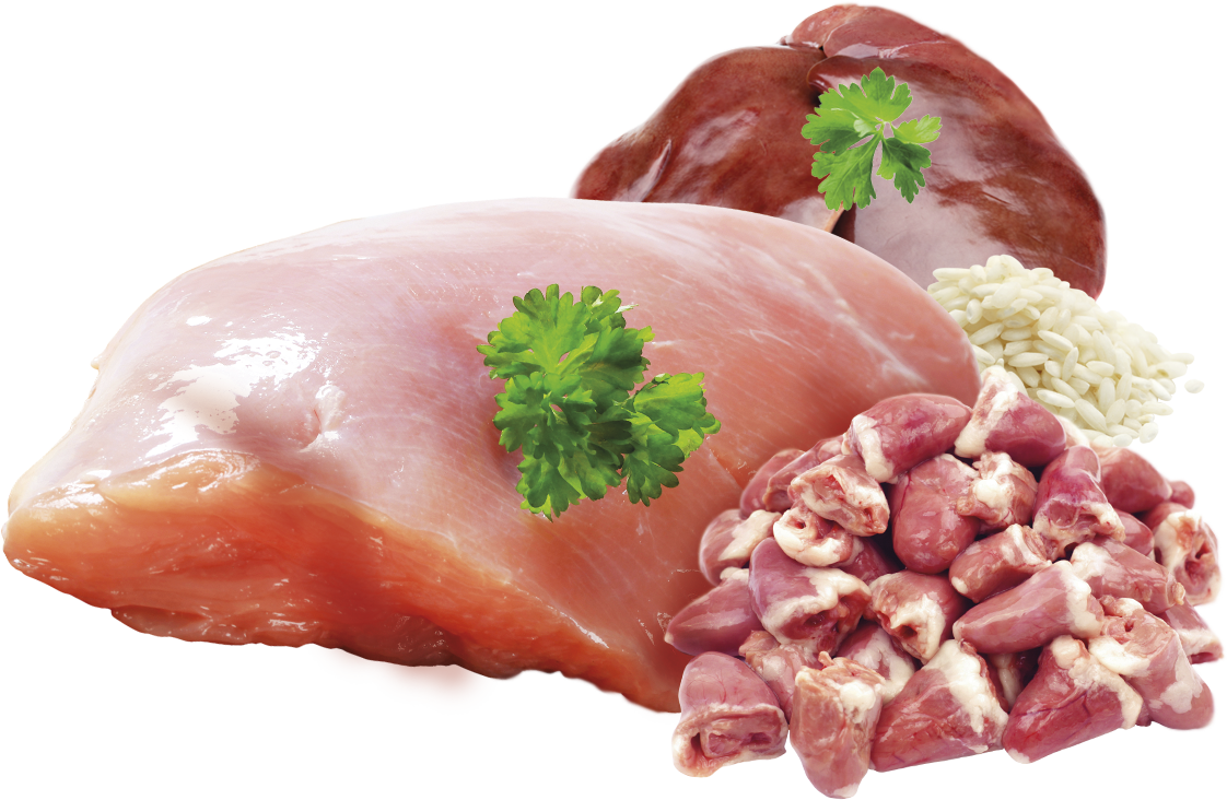Brit Premium Korv Kalkon 800g