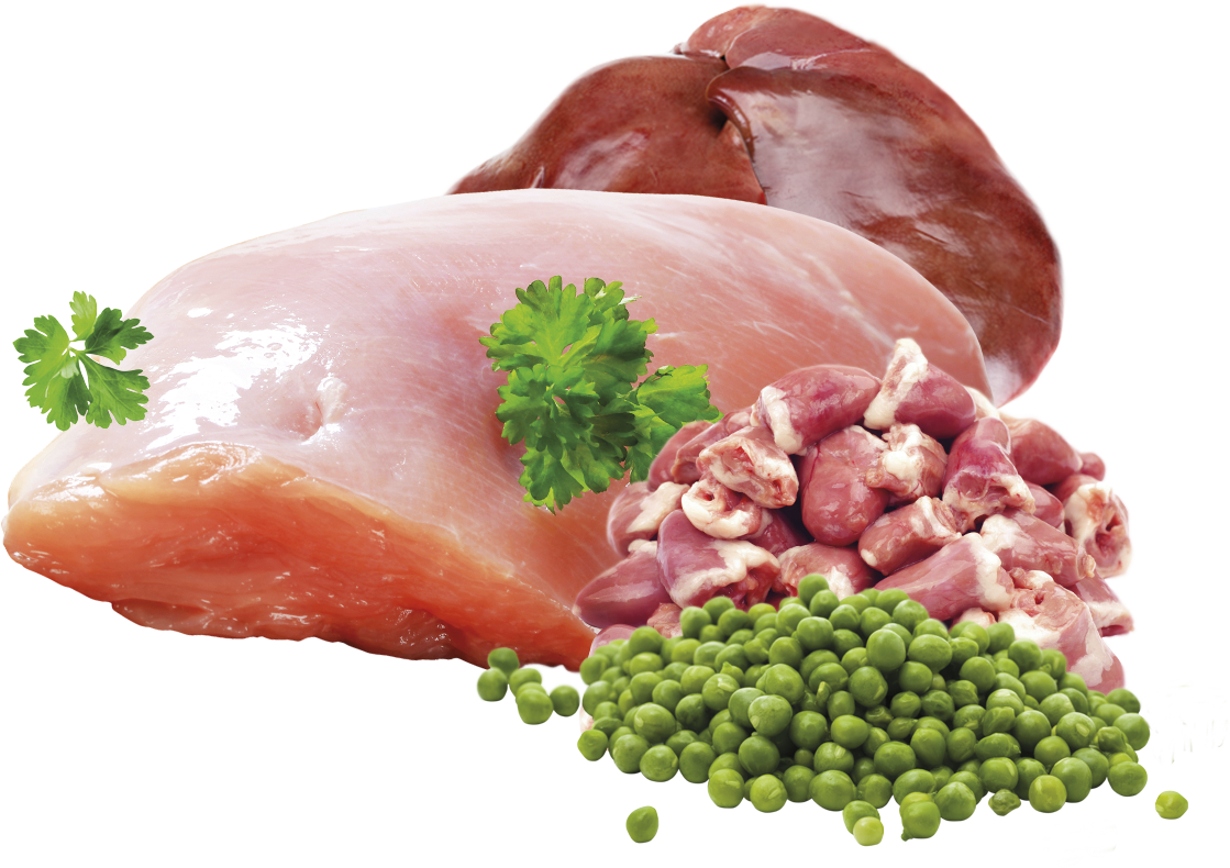 Brit Premium Korv Kalkon & Ärtor 800g